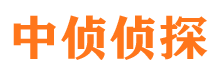 渭滨侦探